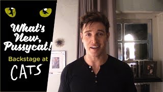 Episode 14  What's New, Pussycat? Backstage at CATS with Tyler Hanes