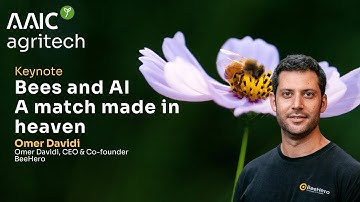 Bees as the world’s agricultural neural network