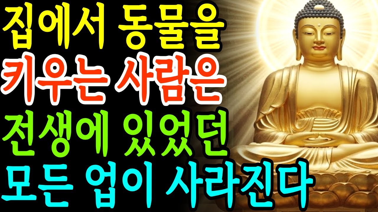 개와 고양이를 키우는 분들께 전합니다ㅣ부처님 말씀ㅣ부처님 지혜ㅣ석가모니 가르침ㅣ