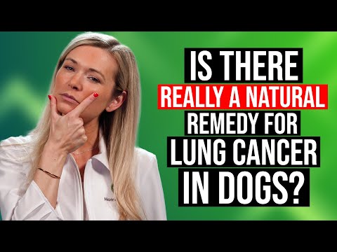 Video: Canine Pulmonary Disease