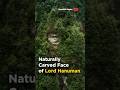 Hanuman Face Mountain in Arunachal Pradesh ๐๏ธ