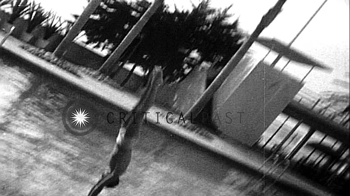 Springboard divers Marjorie Gestring and Norman Sp...
