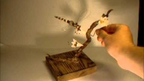 Dragon fly Automata
