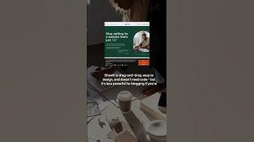 Choosing between WordPress and Showit? 👀