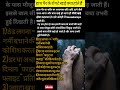 हाथ और पैर के रोंगटे खड़े क्यों होते हैं?😱#Goosebump #HumanBodyFact #ScienceFact #AmazingFac #Short