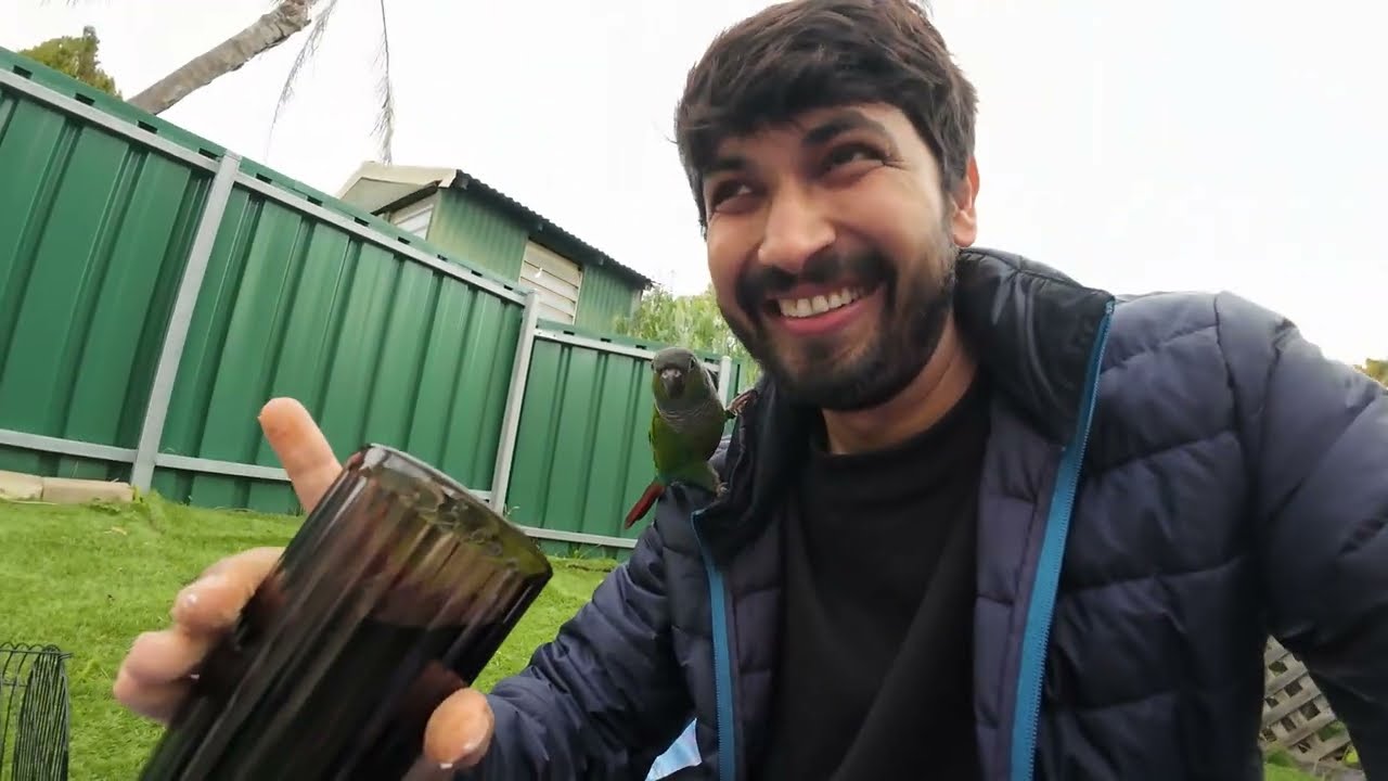 Picnic at my backyard