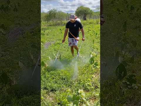 O que você acha disso EPI zero!