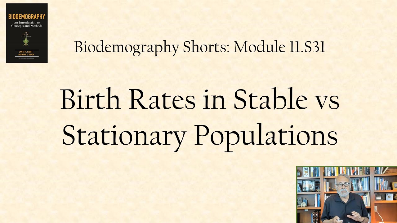 Birth rates in stable vs stationary populations YouTube