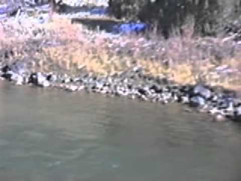 Keith Freund — Keith Freund - "Deep shit, sunburn"