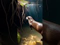 🌊 OTTER POV: Secret Underwater Entrance to a Hidden Underground Oasis! 🐾