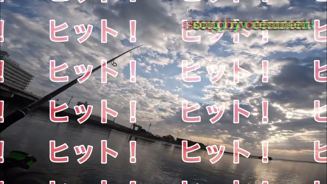 朝マズメにヒラメが釣れたけど 南白亀川河口 5月下旬 Youtube