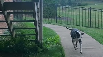 Positive Interrupter - What