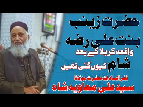 Maulana Syed Ali Muavia Shah New Bayan 2025 Sayyida Zainab S A