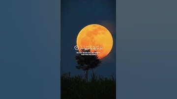 #اكسبلور #ما_شاء_الله #لايك #قرآن #المصحف #ترند #سورة_الإخلاص سوره الخلاص