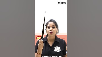 What Is The Science Behind Dandruff? 🤔 #PW #WBPSCWallah #Shorts