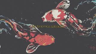 Video thumbnail of "No todos los peces van al Cielo - Letelefono (Letra)"