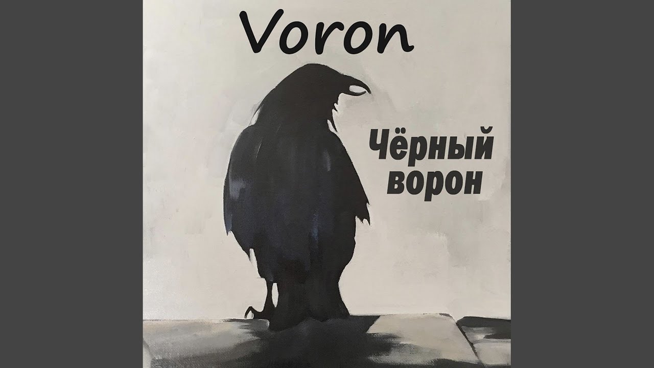 Ворон песня детская. Группа черный ворон. Империя ворон. Белый лебедь черный ворон. Черный ворон Rostovskiy.