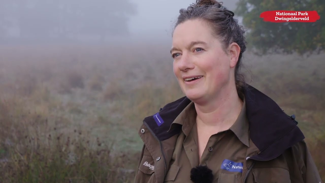 Verborgen verhalen Zuidwest Drenthe | Gouden driehoek Nationale Parken