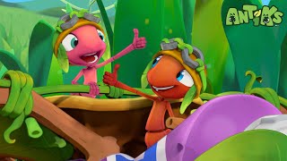 Flight Of The Ants🔴NEW EPISODE!!!🔴| Funny Cartoons | Funny Videos for kids | ANTIKS 🐜🌿