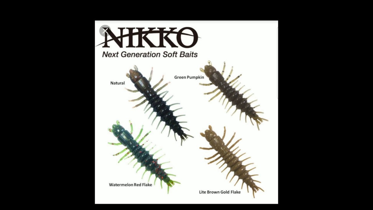 Bank Fishing The River With Nikko Hellgrammites ( Small Mouth Candy ) 