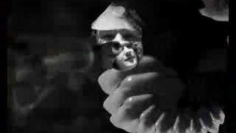 My flash animation showreel 2007