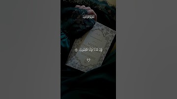 قرأن الكريم سورة المؤمنون هدوء #اكسبلور #المصحف #booktok #الرحمن #راحة_نفسية #fyp #قرآن #funny