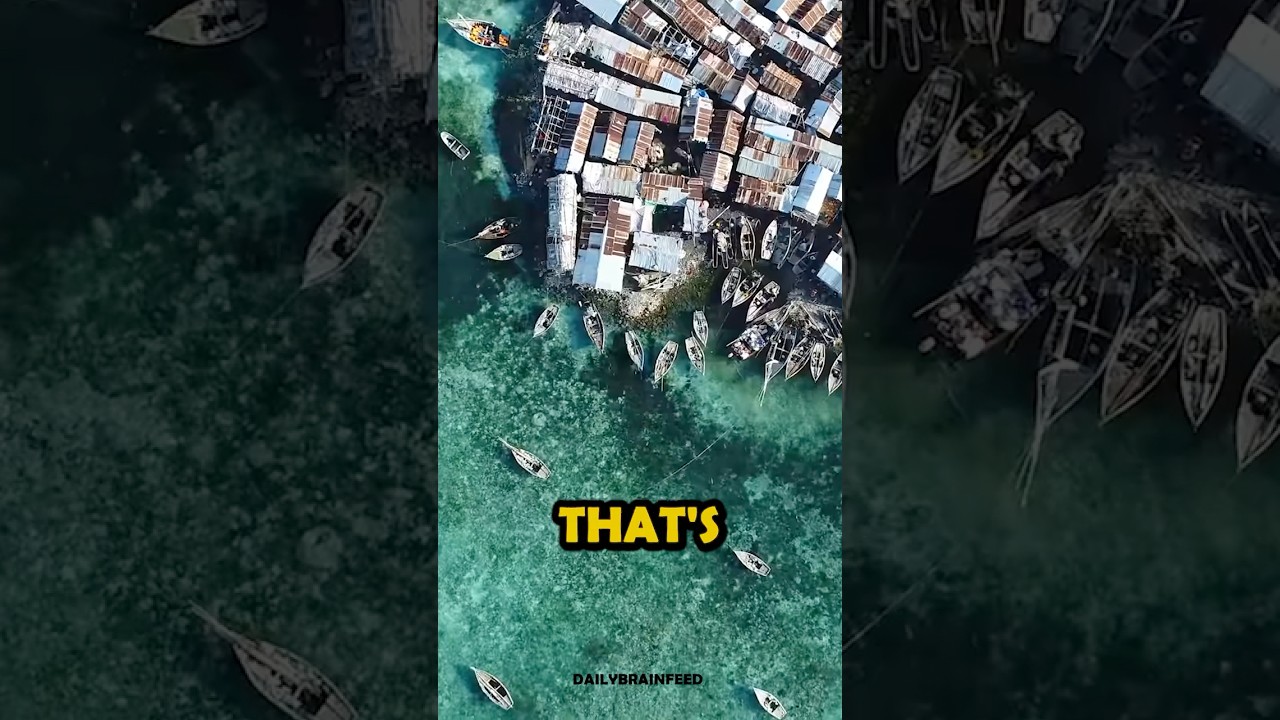 The Most Crowded Island In The World? 