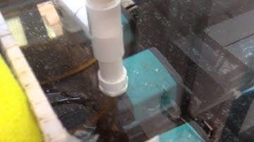 125/50 video update - wet plumbing test