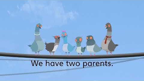 Explore Our World 1 - Unit 3 - Grammar 1