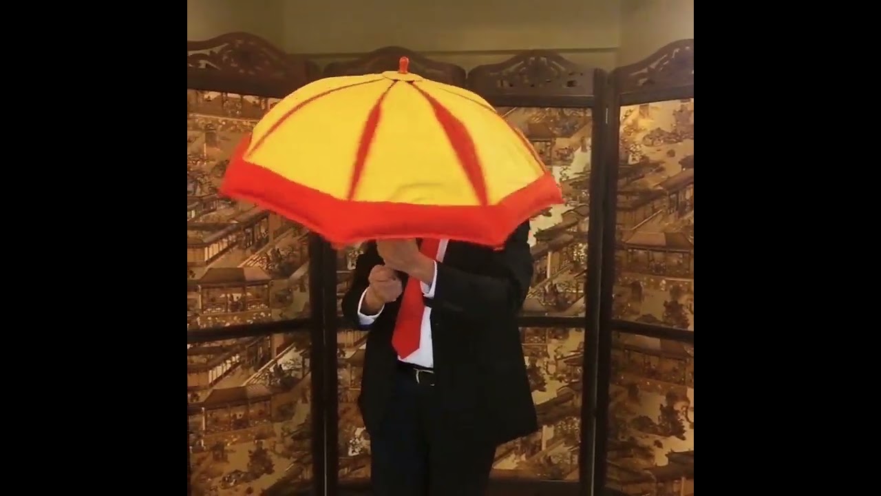 Color Changing Umbrella  🎩 ✨️