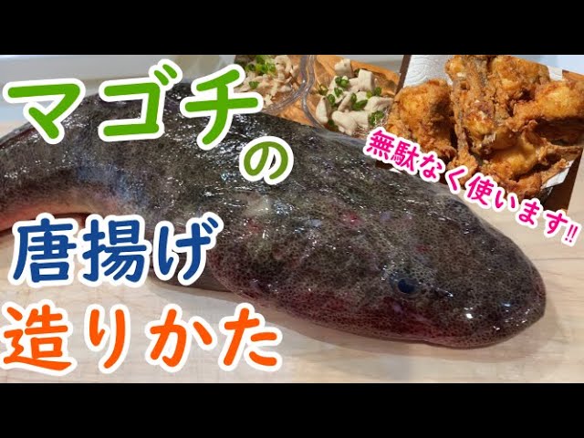 マゴチ の唐揚げつくりかた 捌き方 Youtube
