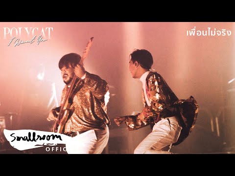 POLYCAT - เพื่อนไม่จริง [I WANT YOU CONCERT]