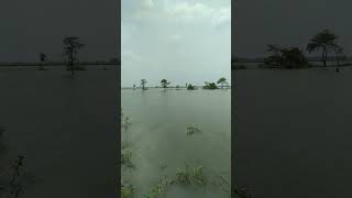 Detik2 Tanah Sawah Kebanjiran Hingga Kejalan Gak Klihatan