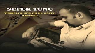 Sefer Tunç - Rındekamı [ © ARDA Müzik ] Resimi