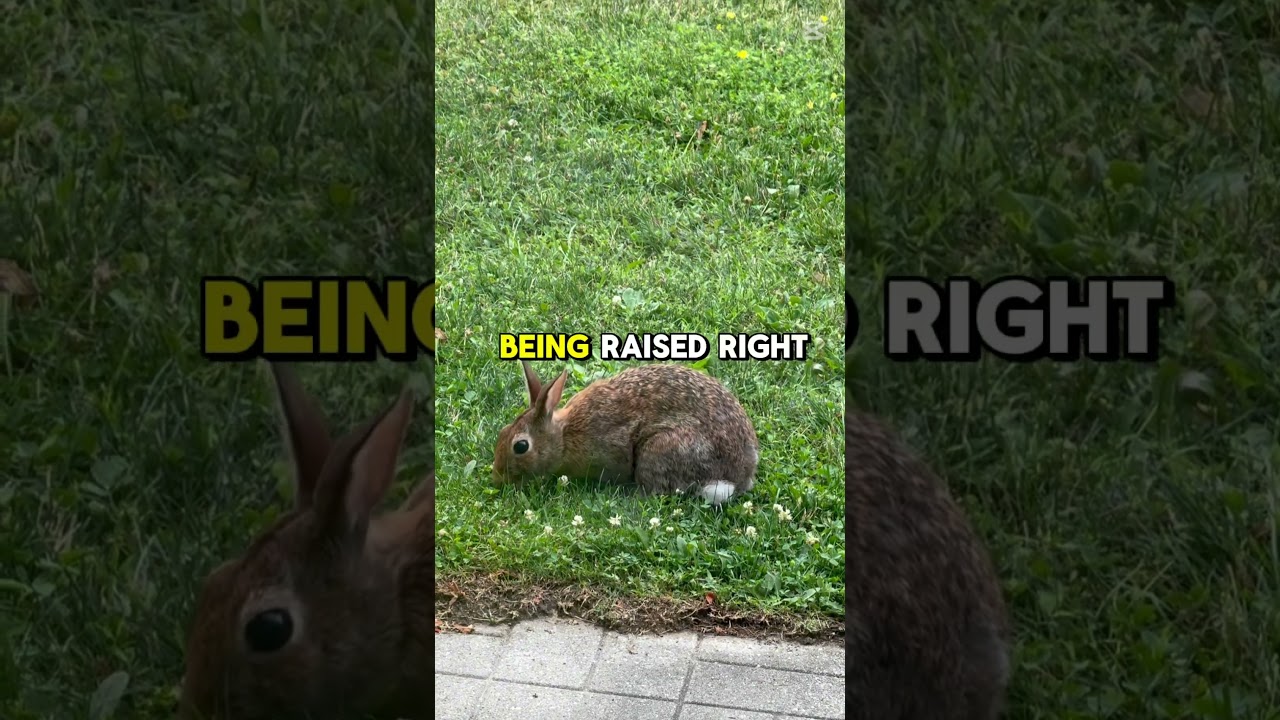 Why please 🙄 and thank you 🙏🏻 words are important❓ 