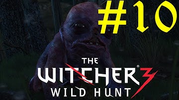 The Witcher 3 Wild Hunt Part 10 -Botchling Baby- (GamePlay/Lets-Play) Ultra Setting  -60fps-
