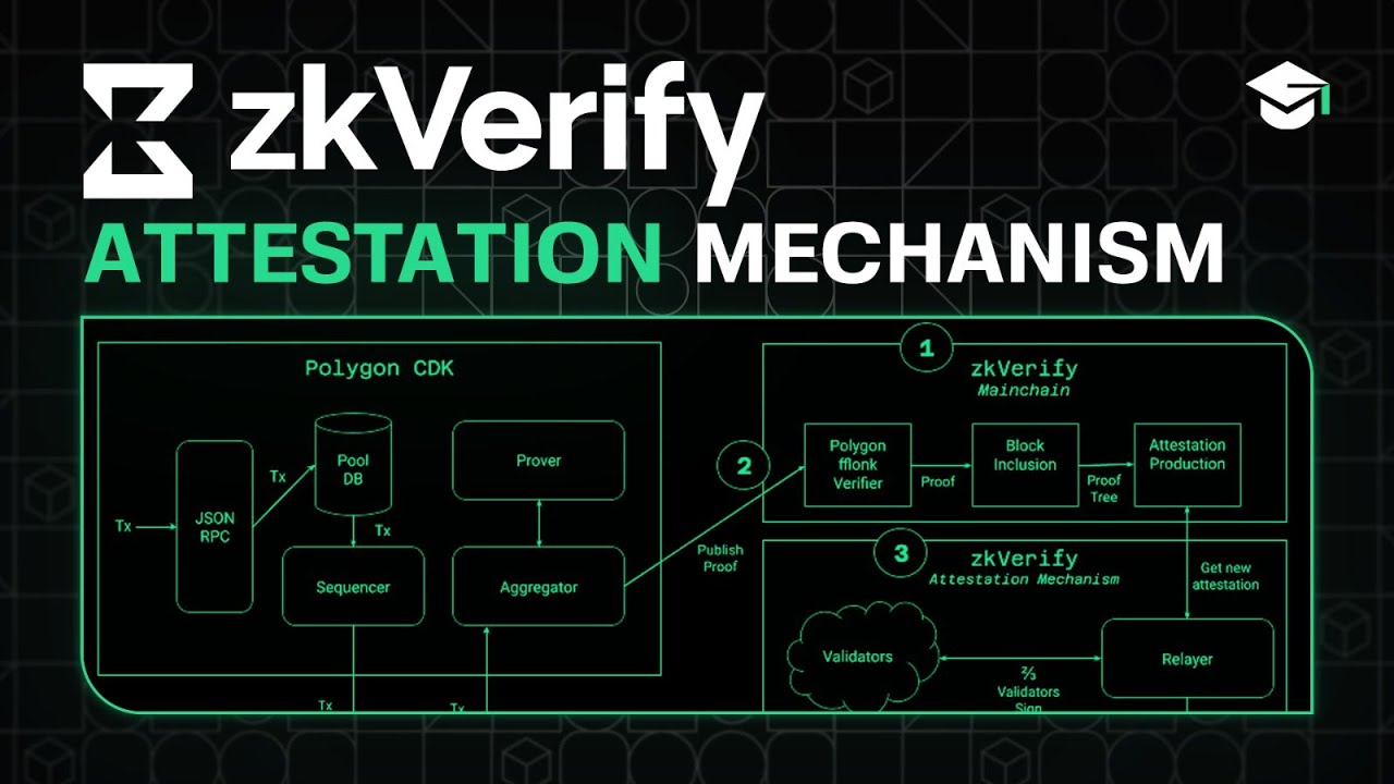 zkVerify Attestation on ApeChain (Demo) - YouTube