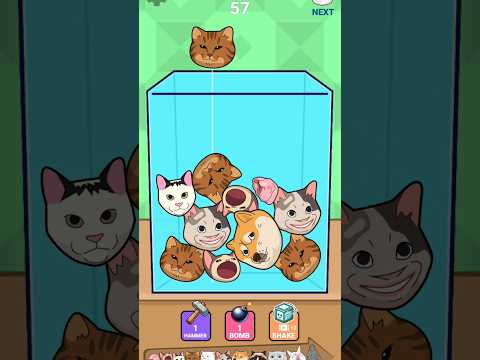 Puzzle Cats - Solve 'Fit the Board Type Puzzles With Cat Shaped Blocks (Kids 9+ And Adults)