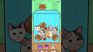 Puzzle Cats - Solve &#39;Fit the Board Type Puzzles With Cat Shaped Blocks (Kids 9+ And Adults)