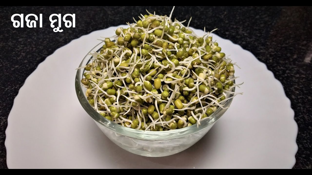 ଗଜା ମୁଗ କେମିତି ବନେଇବେ |How to make mung sprout in Odia|How to make mung bean|green gram sprout