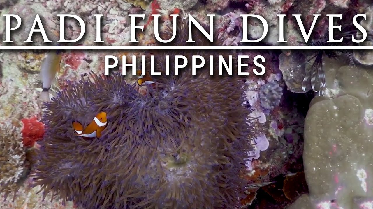 Nemo and Lionfish at the Philippines 