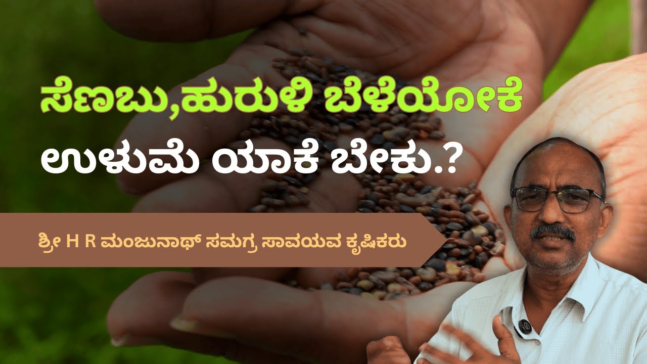 ಹಸಿರೆಲೆ ಗೊಬ್ಬರ ಬೆಳೆಯೋಕೆ ಉಳುಮೆ ಬೇಕಾಗಿಲ್ಲ । ಬ್ರೆಷ್ ಕಟರ್ ಒಂದಿದ್ರೆ ಸಾಕು ಟ್ರ್ಯಾಕ್ಟರ್ ಯಾಕೆ..?