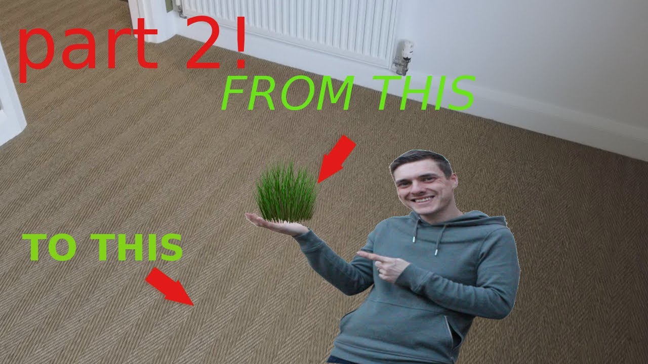 CUTTING AND FITTING SISAL NATURAL CARPET!! (part 2) YouTube