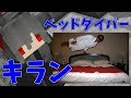 【ANNI】新しくなったcherokeeでキラン発狂ｗｗｗ3拠点破壊！