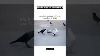 Sister#trendingshort#viralshort#funnyshorts#brotherforlife#sister#instagram#comedyshorts#crow#horror