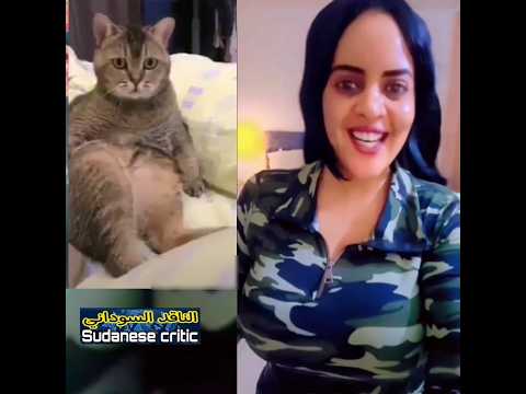 انتي مصاريفك من وين