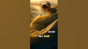 Top 3 loài rắn lớn nhất thế giới. Top 1 không còn là của titanoboa nữa rồi. #animals #facts #tintuc