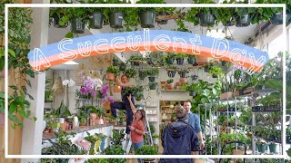 Lush Houseplant Shopping Tour! Philodendron, Monstera, Succulents! Go Houseplant Shopping With Me!