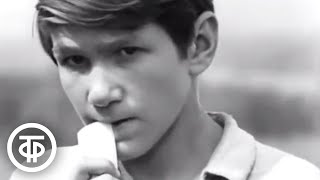 видео: Красно солнышко. Кинодебют Игоря Бочкина (1972) картинка: Красно солнышко. Кинодебют Игоря Бочкина (1972)
