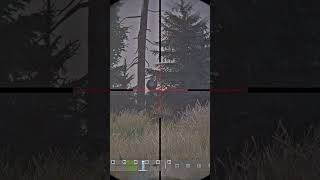 #DayZ #DayZGameplay #DayZSurvival #DayZCommunity #DayZClips #DayZPvP #DayZLoot #DayZMods #survival